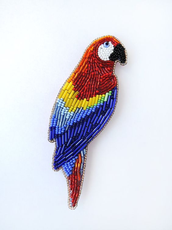 Scarlet Macaw Tank